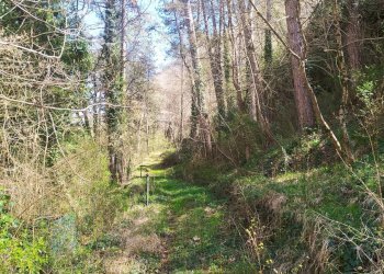 Foto 5 - Casa indipendente VIA CASTELLO
 
106, Castel San Niccolò - foto 5