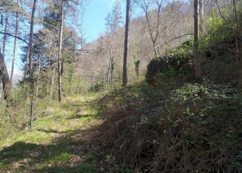 Foto 6 - Casa indipendente VIA CASTELLO
 
106, Castel San Niccolò - foto 6