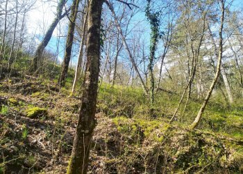 Foto 7 - Casa indipendente VIA CASTELLO
 
106, Castel San Niccolò - foto 7