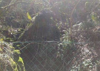 Foto 8 - Casa indipendente VIA CASTELLO
 
106, Castel San Niccolò - foto 8