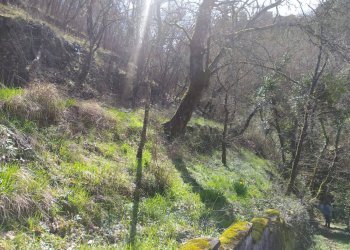 Foto 10 - Casa indipendente VIA CASTELLO
 
106, Castel San Niccolò - foto 10