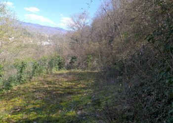 Foto 12 - Casa indipendente VIA CASTELLO
 
106, Castel San Niccolò - foto 12