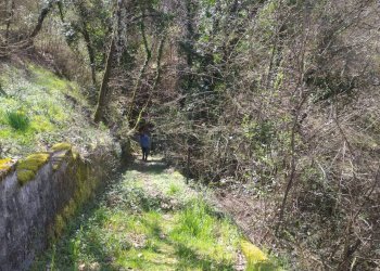 Foto 14 - Casa indipendente VIA CASTELLO
 
106, Castel San Niccolò - foto 14