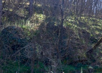 Foto 22 - Casa indipendente VIA CASTELLO
 
106, Castel San Niccolò - foto 22