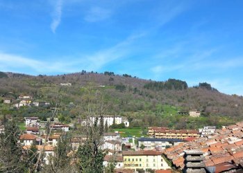 Foto 23 - Casa indipendente VIA CASTELLO
 
106, Castel San Niccolò - foto 23