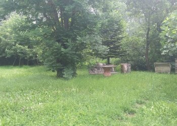 Foto 21 - Villa SP 208 della Verna
 
26, Bibbiena - foto 21