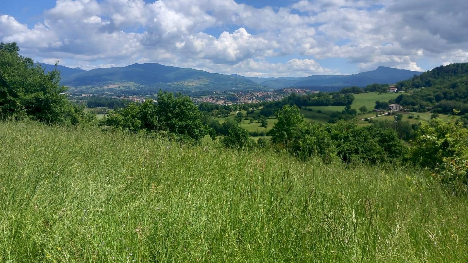 Foto 3 - Building land località Riosecco, Poppi - photo 3