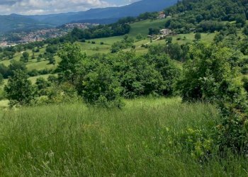 Foto 1 - Terreno edificabile località Riosecco, Poppi - foto 1