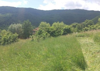 Foto 2 - Terreno edificabile località Riosecco, Poppi - foto 2