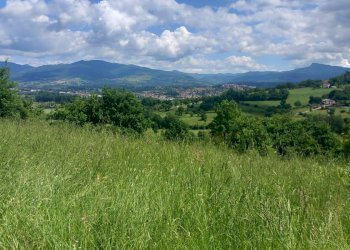 Foto 3 - Terreno edificabile località Riosecco, Poppi - foto 3