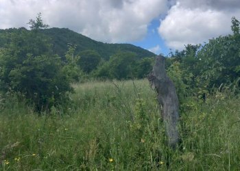 Foto 4 - Terreno edificabile località Riosecco, Poppi - foto 4