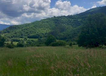 Foto 8 - Terreno edificabile località Riosecco, Poppi - foto 8