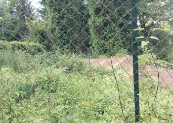 Foto 21 - Casa semi indipendente strada comunale di Marciano
 
3, Bibbiena - foto 21