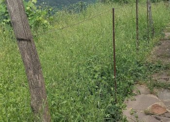 Foto 24 - Casa semi indipendente strada comunale di Marciano
 
3, Bibbiena - foto 24