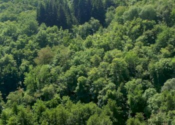 Foto 13 - Quadrilocale LOCALITA RAGGIOLO
 
8, Ortignano Raggiolo - foto 13