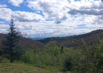 Foto 3 - Villa Loc. Sant'Angelo a Montegiovi
 
13, Subbiano - foto 3