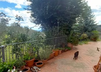 Foto 6 - Villa Loc. Sant'Angelo a Montegiovi
 
13, Subbiano - foto 6