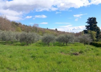 Foto 29 - Villa Loc. Sant'Angelo a Montegiovi
 
13, Subbiano - foto 29