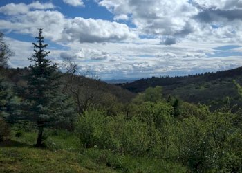 Foto 40 - Villa Loc. Sant'Angelo a Montegiovi
 
13, Subbiano - foto 40