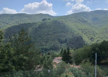 Foto 9 - Casa indipendente località Cetica Casorbe, 98, Castel San Niccolò - foto 9