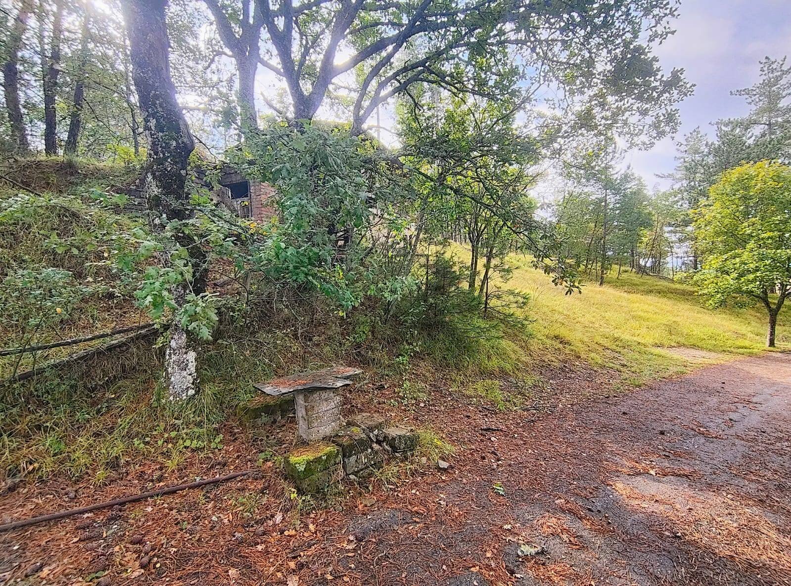 Foto 2 - Agricultural land via del Corniolo
 
6, Poppi - photo 2