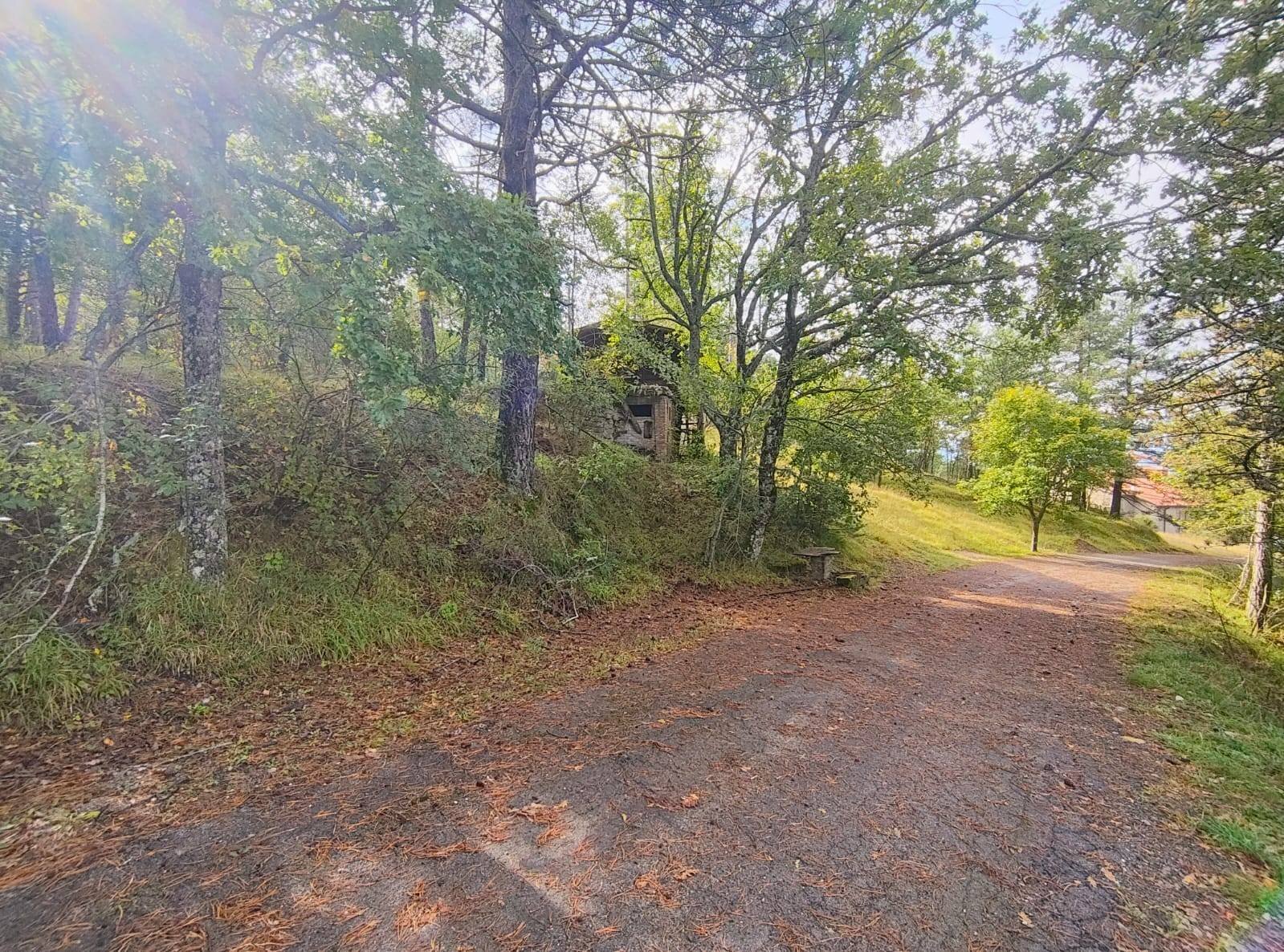 Foto 3 - Agricultural land via del Corniolo
 
6, Poppi - photo 3