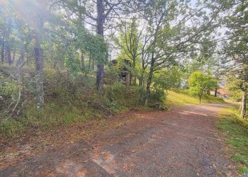 Foto 3 - Terreno agricolo via del Corniolo
 
6, Poppi - foto 3