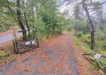 Foto 5 - Terreno agricolo via del Corniolo
 
6, Poppi - foto 5