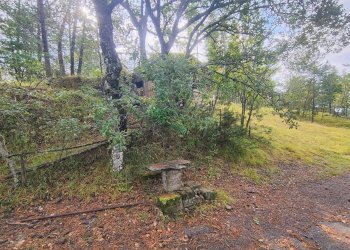 Foto 6 - Terreno agricolo via del Corniolo
 
6, Poppi - foto 6