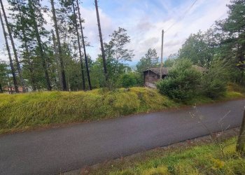 Foto 7 - Terreno agricolo via del Corniolo
 
6, Poppi - foto 7