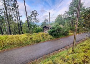 Foto 8 - Terreno agricolo via del Corniolo
 
6, Poppi - foto 8