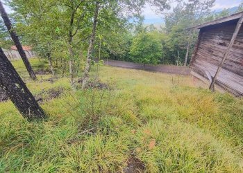 Foto 10 - Terreno agricolo via del Corniolo
 
6, Poppi - foto 10