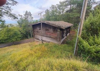 Foto 11 - Terreno agricolo via del Corniolo
 
6, Poppi - foto 11