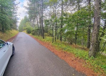 Foto 12 - Terreno agricolo via del Corniolo
 
6, Poppi - foto 12