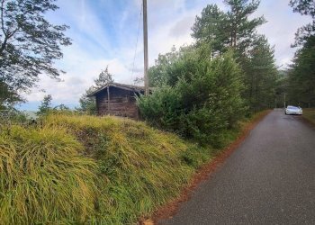 Foto 14 - Terreno agricolo via del Corniolo
 
6, Poppi - foto 14