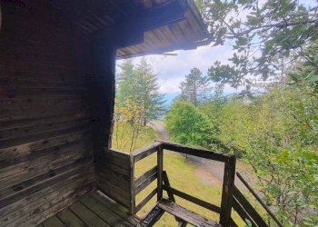 Foto 15 - Terreno agricolo via del Corniolo
 
6, Poppi - foto 15