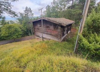 Foto 17 - Terreno agricolo via del Corniolo
 
6, Poppi - foto 17