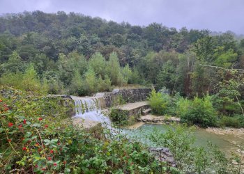 Foto 60 - Independent house località Banzena
 
11/13, Bibbiena - photo 60