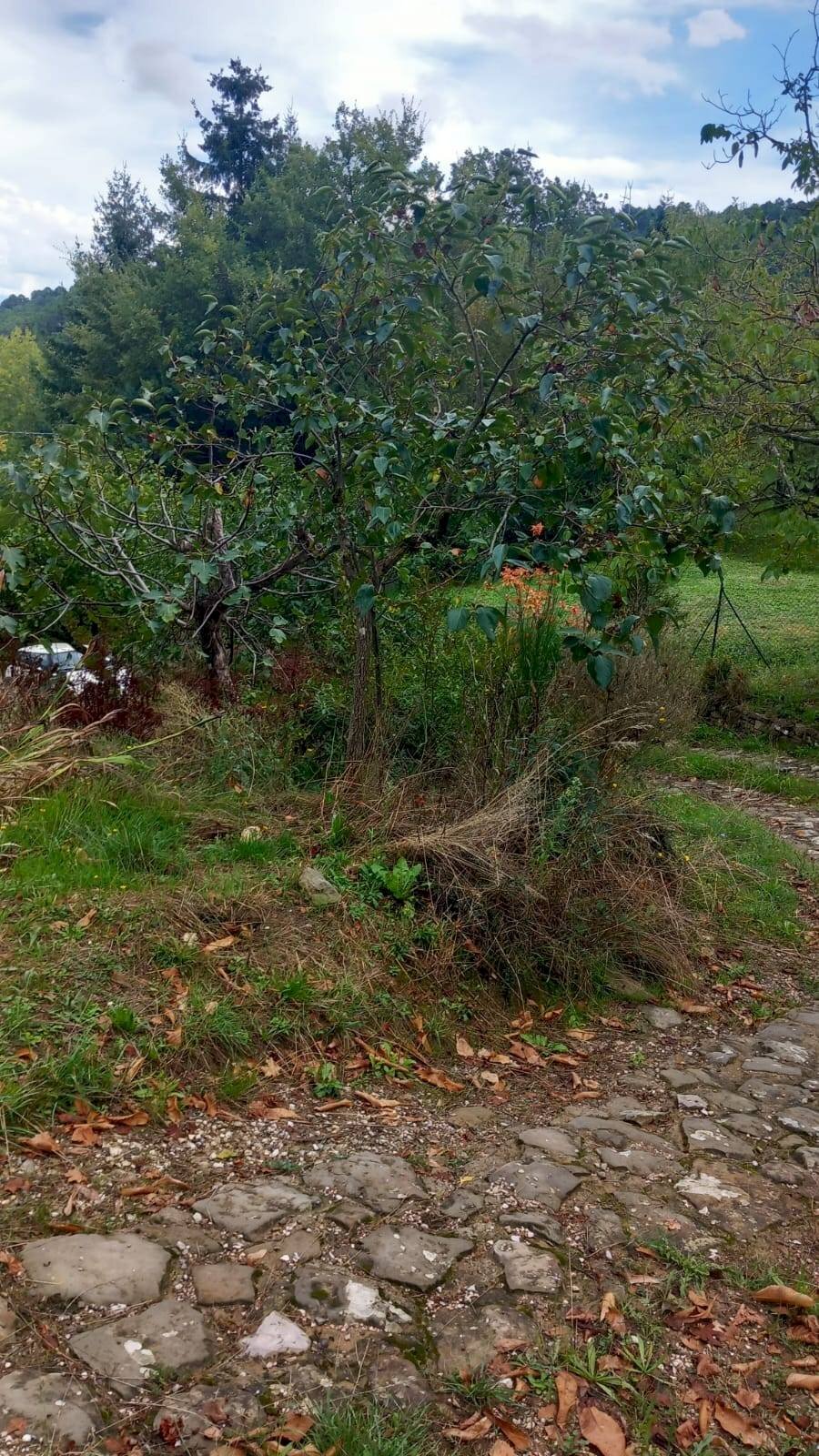 Foto 3 - Rustic via di Cinano
 
40, Castel Focognano - photo 3