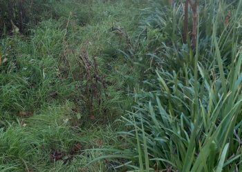 Foto 13 - Quadrilocale VIA PIO BORRI
 
8, Castel Focognano - foto 13