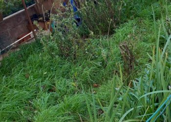 Foto 14 - Quadrilocale VIA PIO BORRI
 
8, Castel Focognano - foto 14