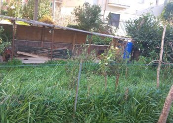 Foto 15 - Quadrilocale VIA PIO BORRI
 
8, Castel Focognano - foto 15