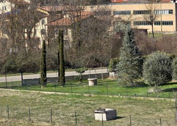 Foto 46 - Casa indipendente VIA ARETINA VECCHIA
 
15/B, Poppi - foto 46