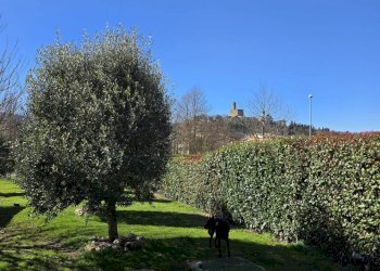 Foto 58 - Casa indipendente VIA ARETINA VECCHIA
 
15/B, Poppi - foto 58