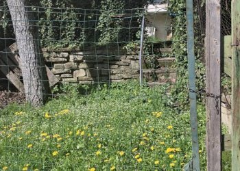 Foto 18 - Quadrilocale VIA DELLA PORTA MOGGIONA
 
45, Poppi - foto 18