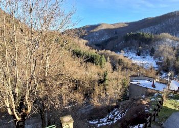 Foto 27 - Casa semi indipendente LOC LA CASINA BADIA PRATAGLIA
 
16, Poppi - foto 27