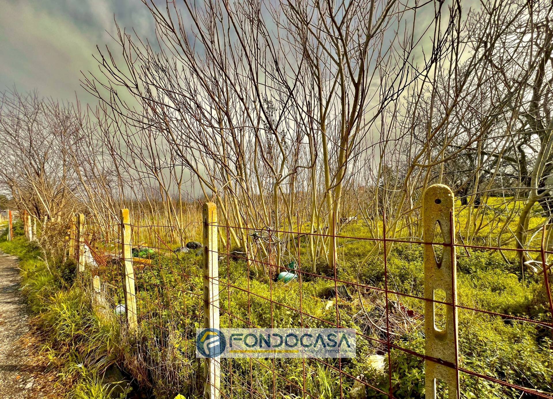 Foto 1 - Terreno agricolo pietroluongo, Sant'Antimo - foto 1