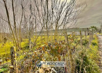 Foto 2 - Terreno agricolo pietroluongo, Sant'Antimo - foto 2