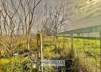 Foto 3 - Terreno agricolo pietroluongo, Sant'Antimo - foto 3