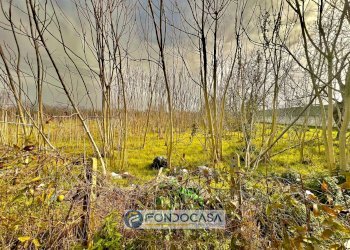 Foto 4 - Terreno agricolo pietroluongo, Sant'Antimo - foto 4